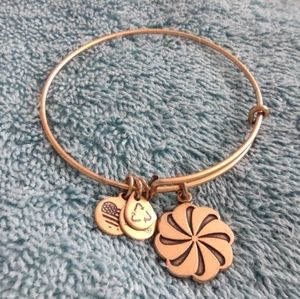 Alex and Ani Eternal Symbol Bracelet